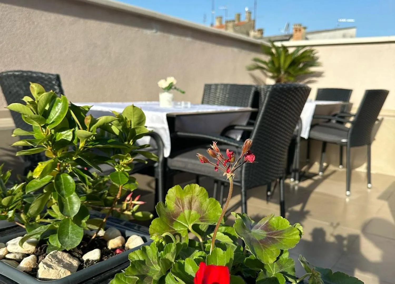 Villa Brandestini Pula Guest house